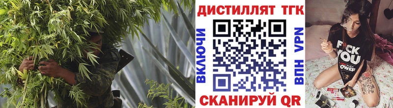 цена Олонец Дистиллят ТГК вейп с тгк