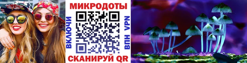 Галлюциногенные грибы Psilocybine cubensis  Олонец 